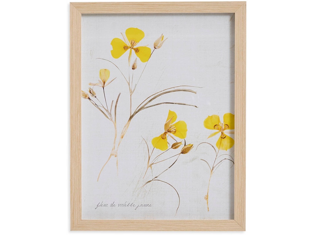 Pressed Yellow Violets