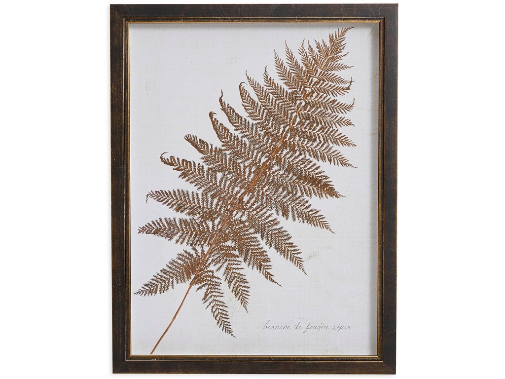 Sepia Fern Frond